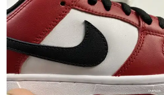 SB BQ6817-600 J-Pack Low Dunk Nike Chicago 0517